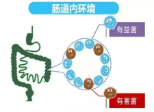 1589933805596062721.jpg 1723836973.jpg